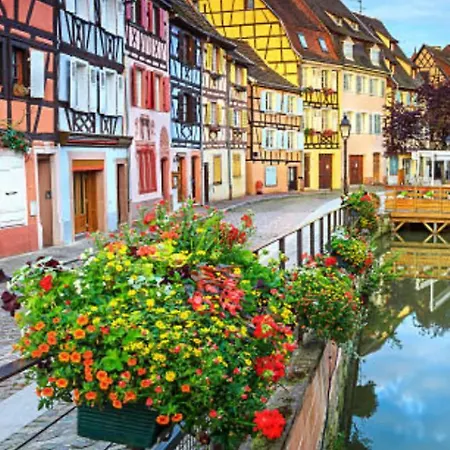 Appartement L'alicien - Grand Studio - Neuf - Terrasse Et Parking Gratuit - Colmar, Quartier Des Maraichers *